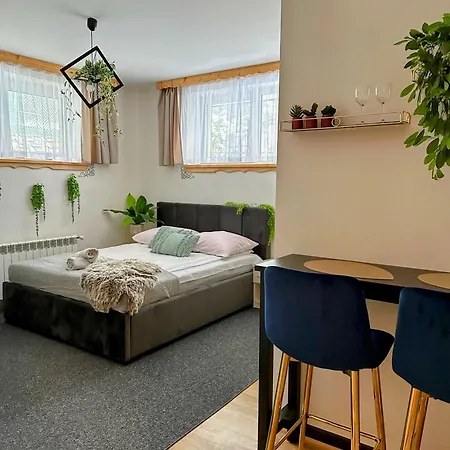 Podhalanska Apartment *